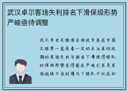 武汉卓尔客场失利排名下滑保级形势严峻亟待调整